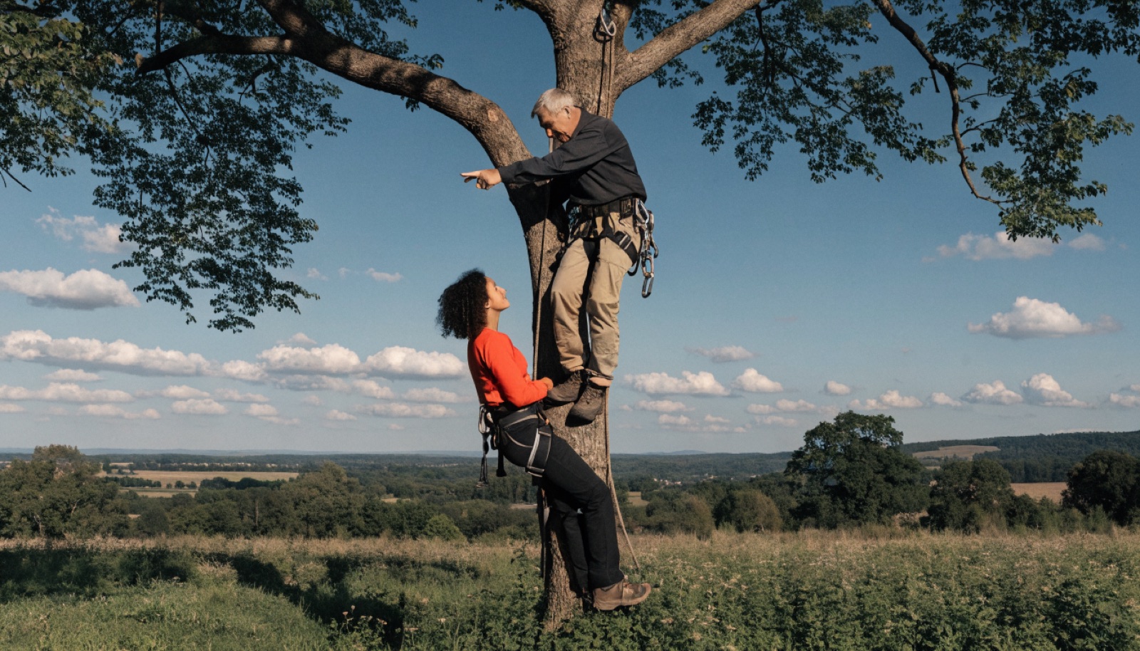 Formazione tree climbing — Potatura Acrobatica